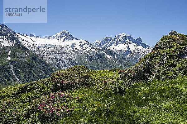 Blick vom Aiguillette de Poisettes  links Aiguille de Chardonnet  rechts Aiguille Verte  Chamonix  Haute-Savoie  Frankreich  Europa