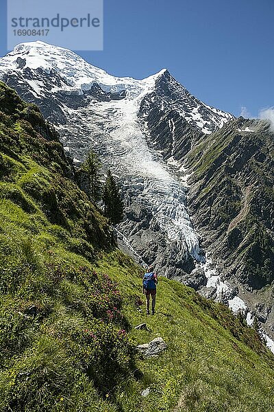 Wanderin vor Gletscher  Wanderweg La Jonction  Gletscher Glacier de Taconnaz  Gipfel des Mont Blanc und Aiguille de Bionnassay  rechts Mont Blanc  Chamonix  Haute-Savoie  Frankreich  Europa