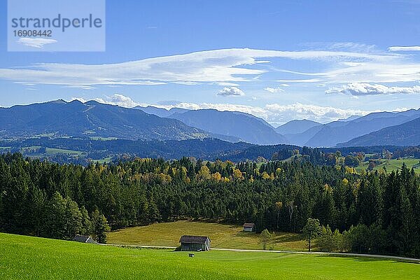 Aussicht auf die Ammergauer Alpen  Mühlegg bei Wildsteig  Oberbayern  Bayern  Deutschland  Europa