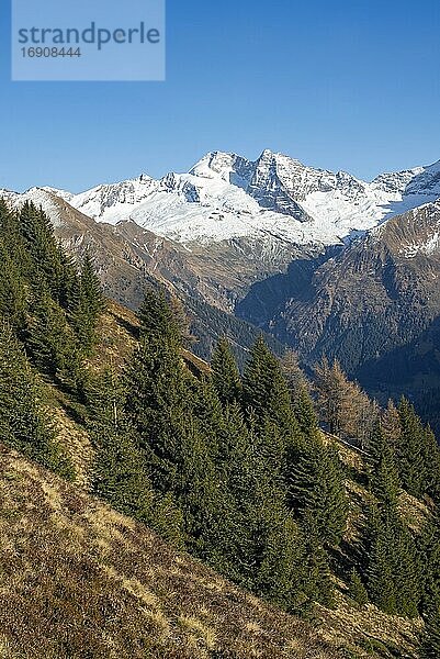 Gebirgslandschaft am Padauner Kogel  dahinter der Olperer  Zillertaler Alpen  Tirol  Österreich  Europa