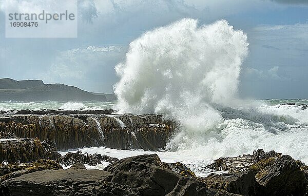 Hohe Wellen  spritzende Gischt  Wellen schlagen gegen Felsküste  stürmisches Meer  Curio Bay  Southlands  Südinsel  Neuseeland  Ozeanien