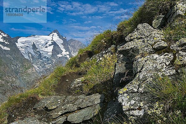 Blick auf den Gipfel des Großglockner  Berg  Alpen  Nationalpark Hohe Tauern  Österreich  Europa