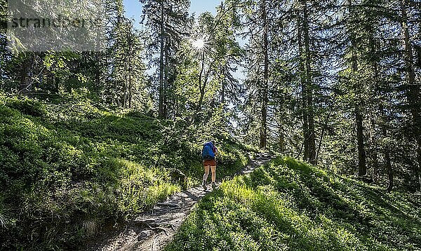 Wanderin auf Wanderweg durch den Wald  Chamonix  Haute-Savoie  Frankreich  Europa