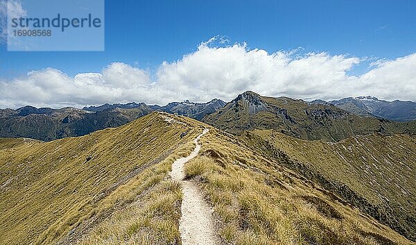 Wanderweg Kepler Track  Ausblick auf Kepler Mountains  Great Walk  Fiordland National Park  Southland  Neuseeland  Ozeanien