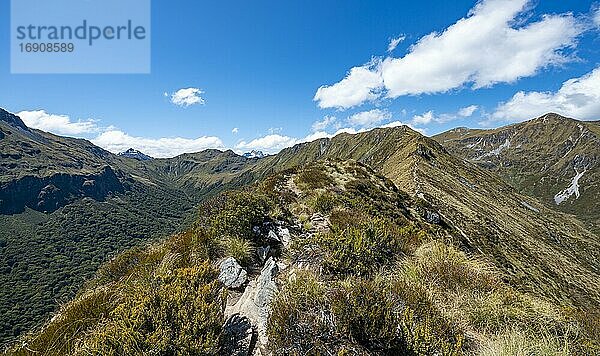 Wanderweg Kepler Track  Ausblick auf Kepler Mountains  Great Walk  Fiordland National Park  Southland  Neuseeland  Ozeanien