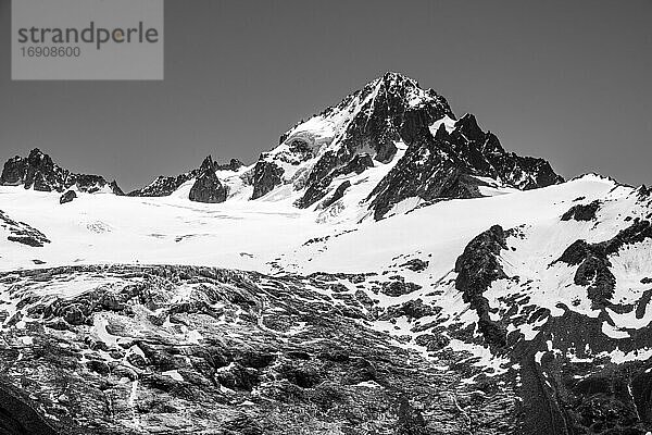 Schwarz-Weiß  Glacier du Tour  Gletscher vor Gipfel des Aiguille du Chardonnet  Chamonix  Haute-Savoie  Frankreich  Europa