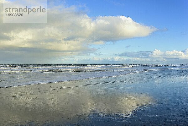 Strand bei Ebbe  Wolkenhimmel spiegelt sich im nassen Sand  Nordsee  Norderney  Ostfriesische Inseln  Niedersachsen  Deutschland  Europa