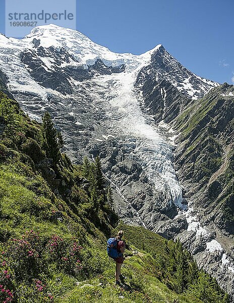 Wanderin vor Gletscher  Wanderweg La Jonction  Gletscher Glacier de Taconnaz  Gipfel des Mont Blanc und Aiguille de Bionnassay  rechts Mont Blanc  Chamonix  Haute-Savoie  Frankreich  Europa