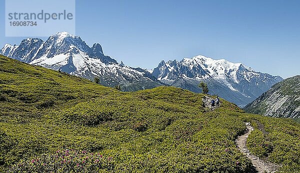 Wanderer auf Wanderweg  Bergpanorama vom Aiguillette de Poisettes  links Aiguille Verte  mitte Aiguille du Midi  rechts Mont Blanc  Chamonix  Haute-Savoie  Frankreich  Europa
