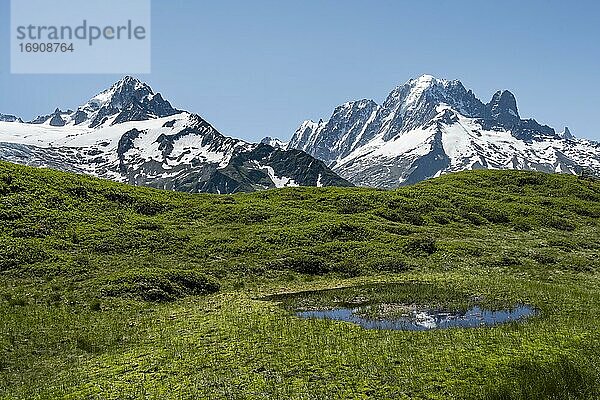 Kleiner Bergsee am Aiguillette de Poisettes  links Aiguille de Chardonnet  rechts Aiguille Verte  Chamonix  Haute-Savoie  Frankreich  Europa