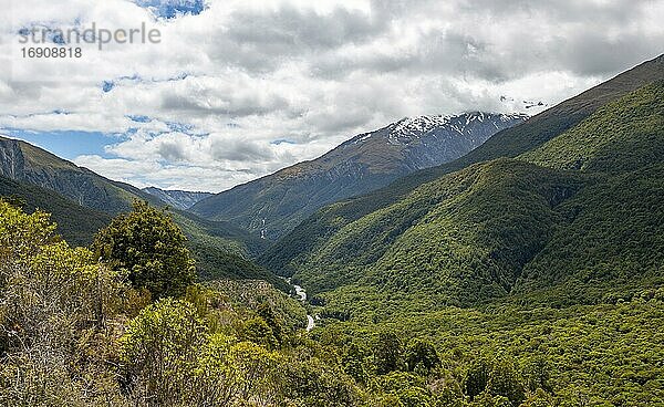 Blick auf Berge und Wald mit Haast River  Gemäßigter Regenwald  Haast Pass  West Coast  Südinsel  Neuseeland  Ozeanien