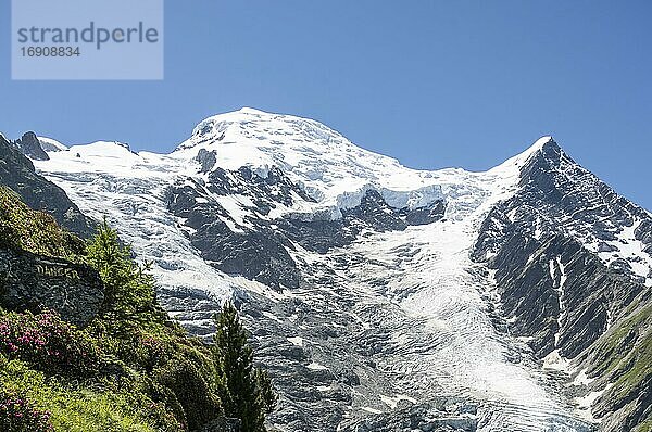 Gletscher  Gletscher Glacier de Taconnaz  Gipfel des Mont Blanc und Aiguille de Bionnassay  rechts Mont Blanc  Chamonix  Haute-Savoie  Frankreich  Europa