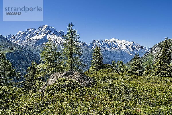 Bergpanorama vom Aiguillette des Posettes  Gipfel Aiguille Verte  Aiguille du Midi und Mont Blanc  Chamonix  Haute-Savoie  Frankreich  Europa