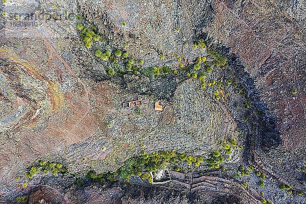Palmen und Ruinen in skurril erodierter Schlucht  Barranco de la Negra  bei Alajero  Drohnenaufnahme  La Gomera  Kanaren  Spanien  Europa