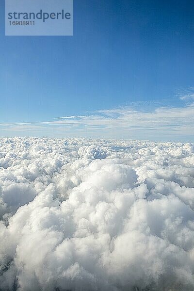 Blick über die Wolken  Wolkenhimmel  Schäfchenwolken  Luftaufnahme aus dem Flugzeug  Neuseeland  Ozeanien