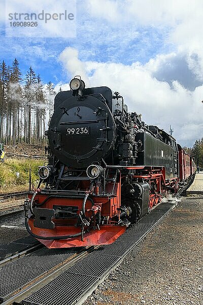 Dampflok von Schmalspurbahn  Brockenbahn im Harz  Schierke  Wernigerode  Landkreis Harz  Sachsen-Anhalt  Deutschland  Europa