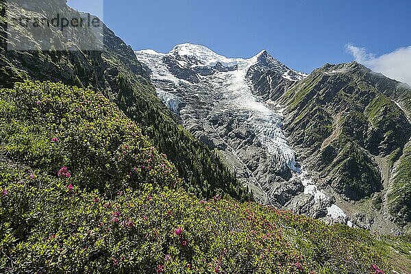 Berglandschaft  Ausblick auf Gletscher Glacier de Taconnaz  Wanderung La Jonction  Chamonix  Haute-Savoie  Frankreich  Europa