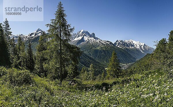 Bergpanorama vom Aiguillette de Poisettes  links Aiguille de Tour  mitte Aiguille Verte und rechts Mont Blanc  Chamonix  Haute-Savoie  Frankreich  Europa