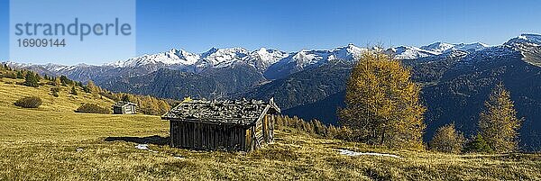 Herbstliche Gebirgslandschaft mit Heustadel  dahinter die Zillertaler Alpen  Panorama  Tirol  Österreich  Europa