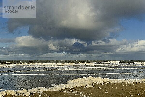 Wellen am Sandstrand mit Schaumbildung  blauer Himmel mit dunklen Quellwolken (Cumulus) über der Nordsee  Norderney  Ostfriesische Inseln  Niedersachsen  Deutschland  Europa
