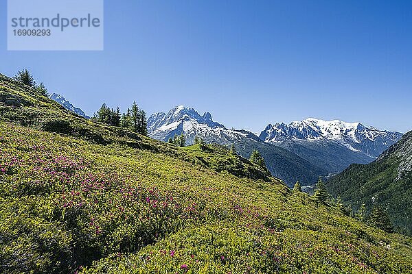 Bergpanorama vom Aiguillette des Posettes  links Gipfel des Aiguille Verte  rechts Aiguille du Midi und Mont Blanc  Chamonix  Haute-Savoie  Frankreich  Europa