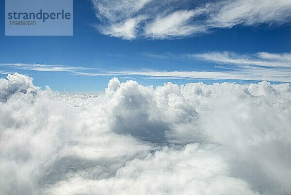 Blick über die Wolken  Wolkenhimmel  Luftaufnahme aus dem Flugzeug  Neuseeland  Ozeanien