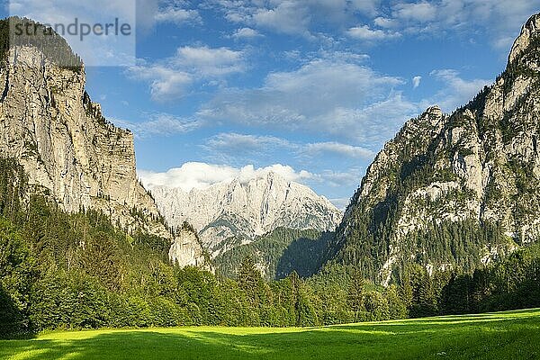 Gesäuseeingang  hinten Großer Ödstein  Hochtor  Hochtorgruppe  Nationalpark Gesäuse  Steiermark  Österreich  Europa