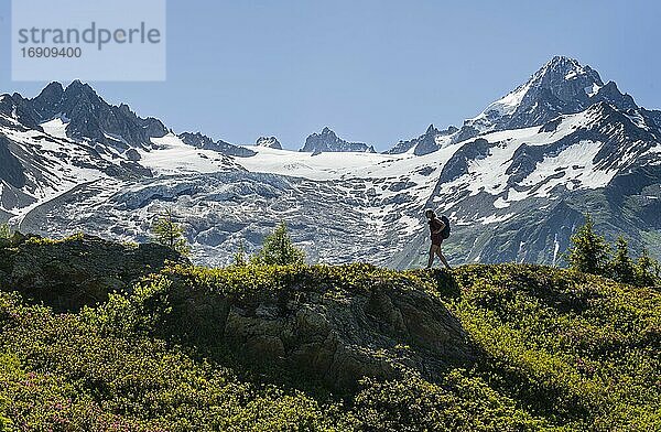 Wanderin läuft vor Bergpanorama vom Aiguillette des Posettes  hinten Gipfel des Aiguille de Tour und Aiguille de Chardonnet  Chamonix  Haute-Savoie  Frankreich  Europa