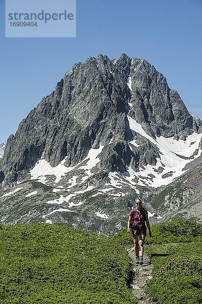 Wanderin auf Wanderweg zum Aiguillette des Posettes  hinten Gipfel des Aiguille du Bélvèdere und Aoguille de la Floria  Chamonix  Haute-Savoie  Frankreich  Europa