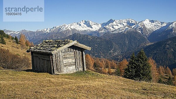 Lärchenwiesen im Herbst  mit Heustadel  dahinter Olperer  Fußstein  Schrammacher  Tirol  Österreich  Europa