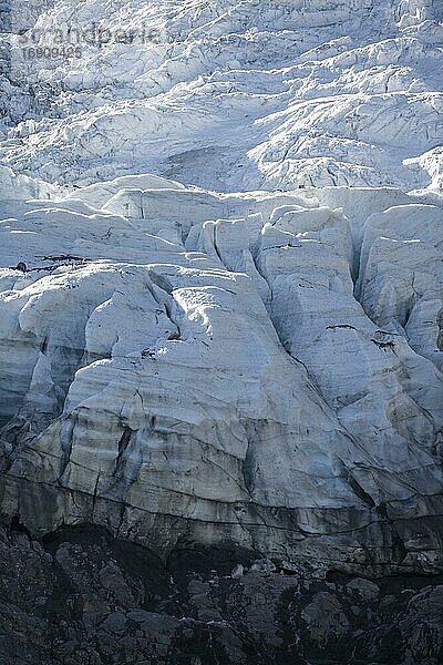 Gletschereis mit Gletscherspalten  Gletscherzunge  Gletscherrand  Glacier des Bossons  La Jonction  Chamonix  Haute-Savoie  Frankreich  Europa