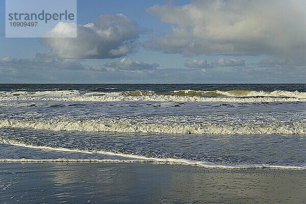 Wellen am Sandstrand mit Schaumbildung  blauer Himmel mit tief ziehenden Quellwolken (Cumulus) über der Nordsee  Norderney  Ostfriesische Inseln  Niedersachsen  Deutschland  Europa