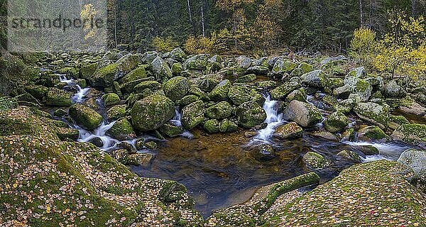 Herbst an der Vydra mit riesigen Felsblöcken im Flussbett  Nationalpark Sumava  Böhmerwald  Tschechien  Europa
