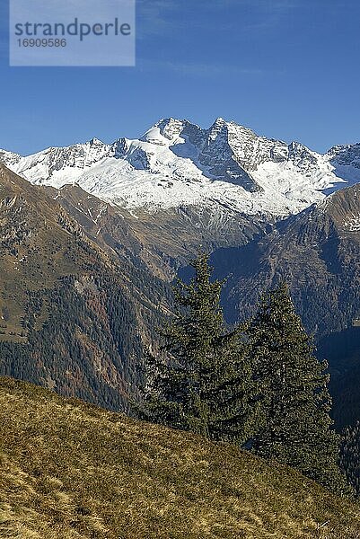 Olperer in den Zillertaler Alpen  vom Padauner Kogel gesehen  Tirol  Österreich  Europa