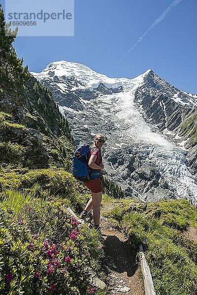 Wanderin vor Gletscher  Wanderweg La Jonction  Gletscher Glacier de Taconnaz  Gipfel des Mont Blanc und Aiguille de Bionnassay  rechts Mont Blanc  Chamonix  Haute-Savoie  Frankreich  Europa