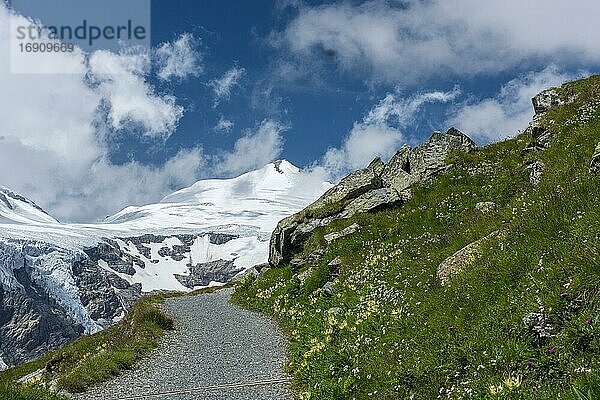 Wanderweg am Fuße des Großglockner  Berg  Alpen  Nationalpark Hohe Tauern  Österreich  Europa