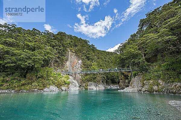 Hängebrücke bei den Blue Pools Felsbecken  Makarora River  türkises kristallklares Wasser  Haast Pass  West Coast  Südinsel  Neuseeland  Ozeanien