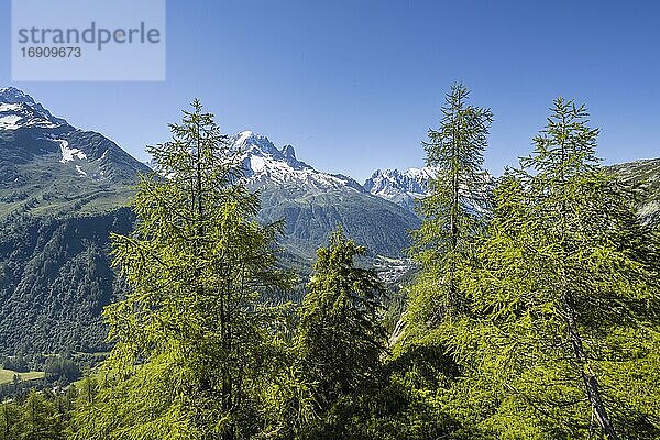 Bergpanorama vom Aiguillette des Posettes  Gipfel Aiguille Verte  Aiguille du Midi und Mont Blanc  Chamonix  Haute-Savoie  Frankreich  Europa