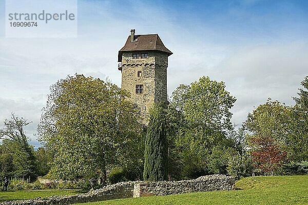 Burg Sponeck  Jechtingen  Sasbach  Kaiserstuhl  Baden-Württemberg  Deutschland  Europa