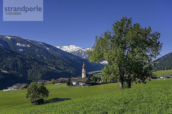Blick auf den Ort Asch  Anras  Tirol  Österreich  Europa