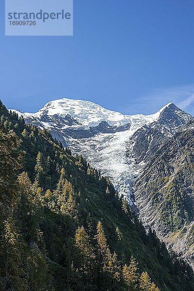 Gletscherzunge am Berghang  Gletscher Glacier de Taconnaz  Gipfel des Mont Blanc und Aiguille de Bionnassay  Chamonix  Haute-Savoie  Frankreich  Europa