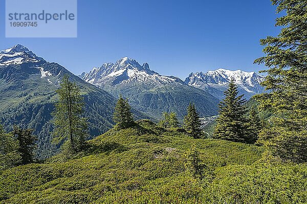 Bergpanorama vom Aiguillette des Posettes  Gipfel Aiguille Verte  Aiguille du Midi und Mont Blanc  Chamonix  Haute-Savoie  Frankreich  Europa