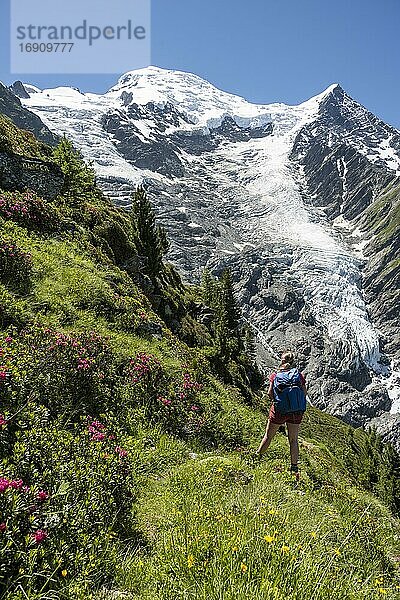 Wanderin vor Gletscher  Wanderweg La Jonction  Gletscher Glacier de Taconnaz  Gipfel des Mont Blanc und Aiguille de Bionnassay  rechts Mont Blanc  Chamonix  Haute-Savoie  Frankreich  Europa