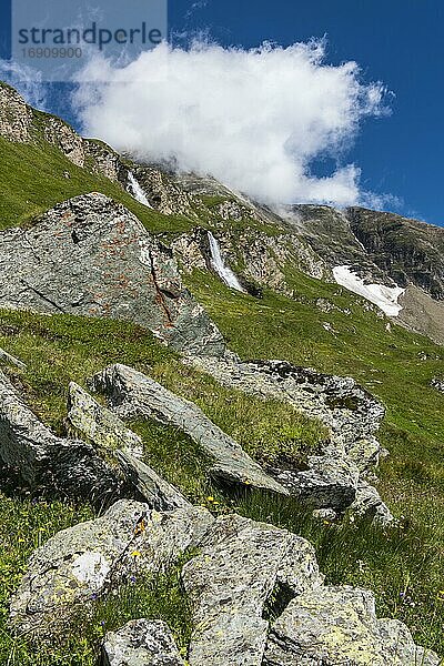 Bergwiese am Flusse des Großglockner  Berg  Alpen  Wasserfall  Nationalpark Hohe Tauern  Österreich  Europa