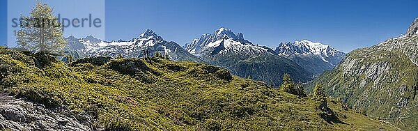 Bergpanorama vom Aiguillette de Poisettes  links Aiguille de Tour und Aiguille de Chardonnet  mitte Aiguille Verte und rechts Mont Blanc  Chamonix  Haute-Savoie  Frankreich  Europa