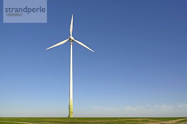 Windkraftwerk an einem Feld vor blauem Himmel  Nordrhein-Westfalen  Deutschland  Europa