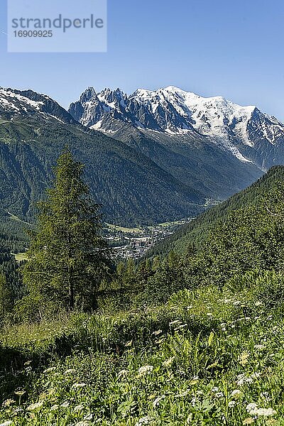 Aiguille du Midi und Mont Blanc mit Gletscher Glacier des Bossons  Chamonix  Haute-Savoie  Frankreich  Europa
