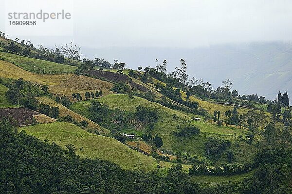 Landschaft am Fuße des Vulkans Tungurahua  Baños de Agua Santa  Provinz Tungurahua  Ecuador  Südamerika