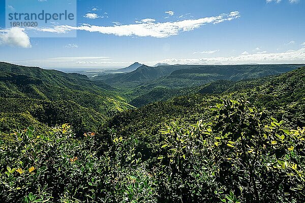 Aussichtspunkt  Blick über bewaldete Berglandschaft  Black River Nationalpark  Mauritius  Afrika