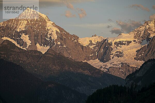 Abendstimmung  Blick auf Berggipfel  Mönch und Jungfraujoch  Gletscher Jungfraufirn  Jungfrauregion  Grindelwald  Bern  Schweiz  Europa